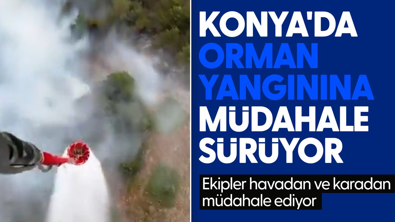 Konya'da orman yangınına müdahale sürüyor