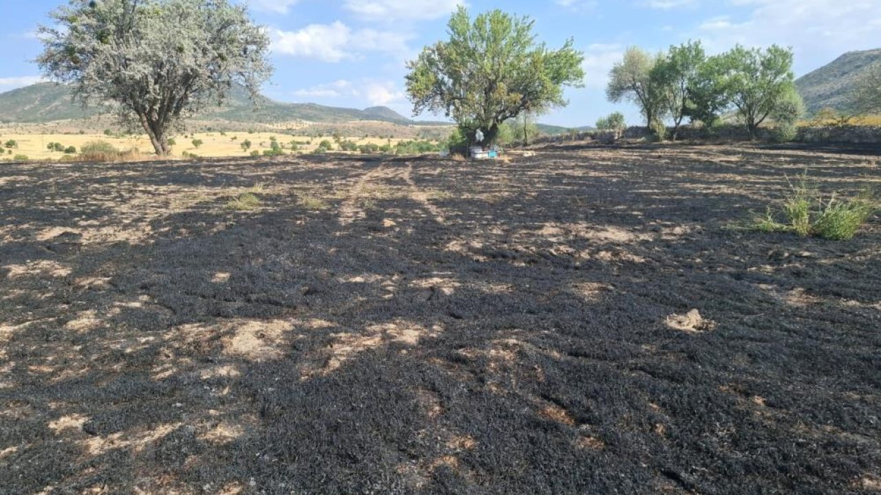Konya'daki arazi ve ahır yangını korkuttu