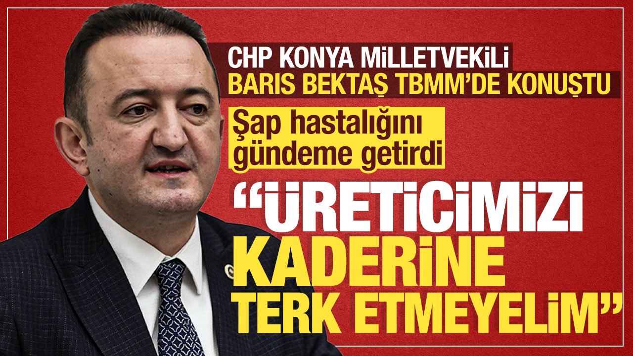 CHP Konya Milletvekili Barış Bektaş'tan şap eleştirisi: "Üreticimizi kaderine terk etmeyelim"