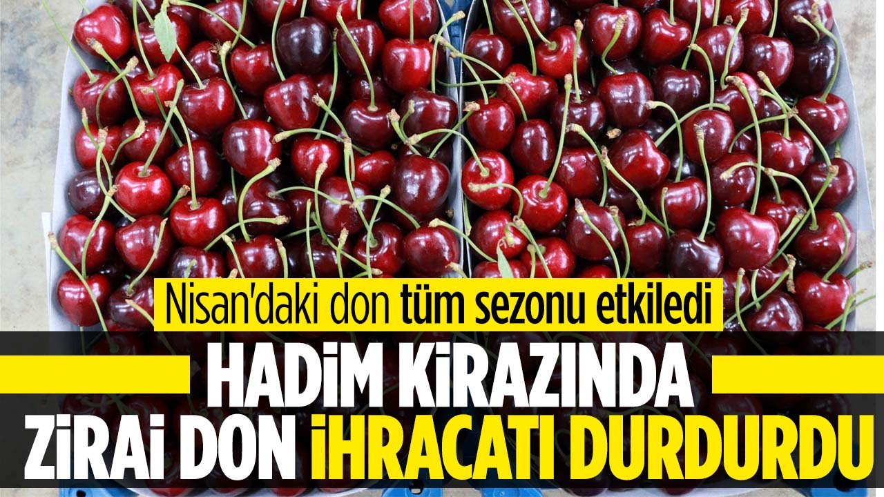 Konya Hadim kirazında 'zirai don' ihracatı durma noktasına getirdi: Kiraz alım merkezinde sessiz mevsim