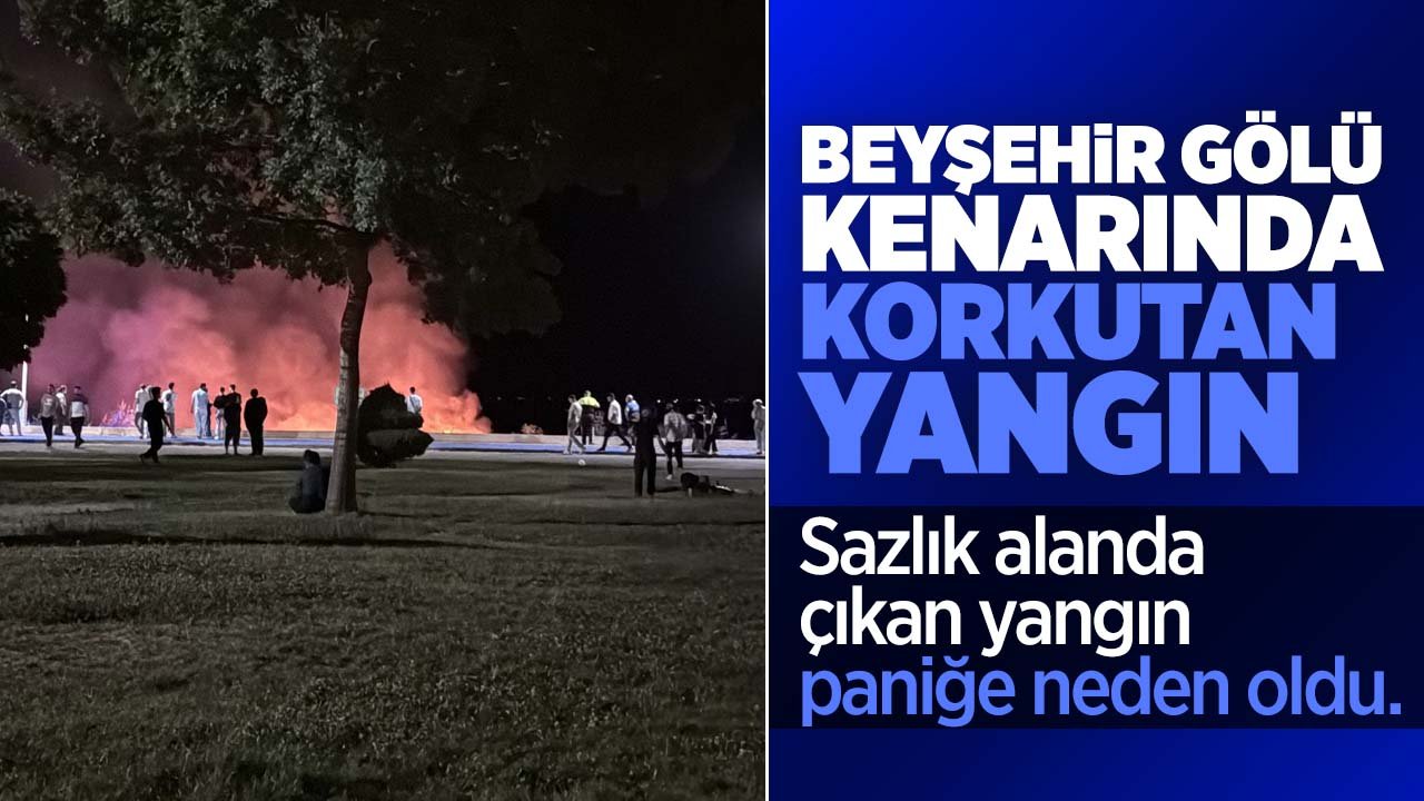 Konya'da Beyşehir Gölü kenarında korkutan yangın