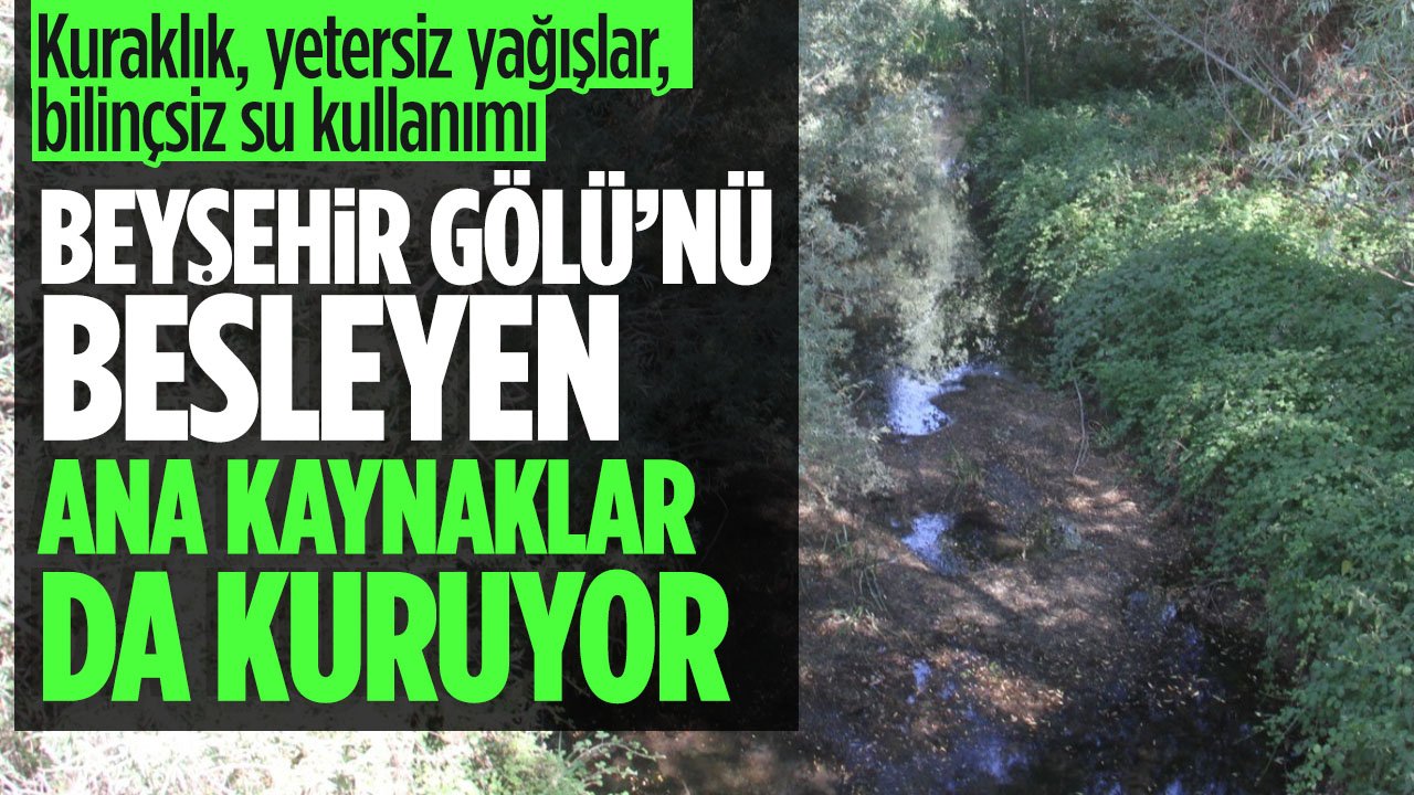Beyşehir Gölü'nde kuraklık alarmı: Gölü besleyen ana kaynaklar da kuruyor