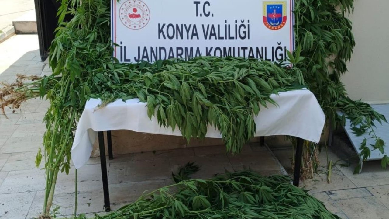 Konya'da zehir tacirlerine operasyon