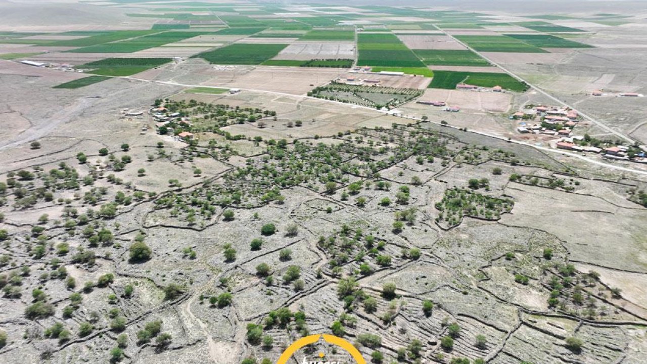 Konya Ereğli’de keşfedilmeyi bekleyen tarihi miras: Taşbudak Örenyeri