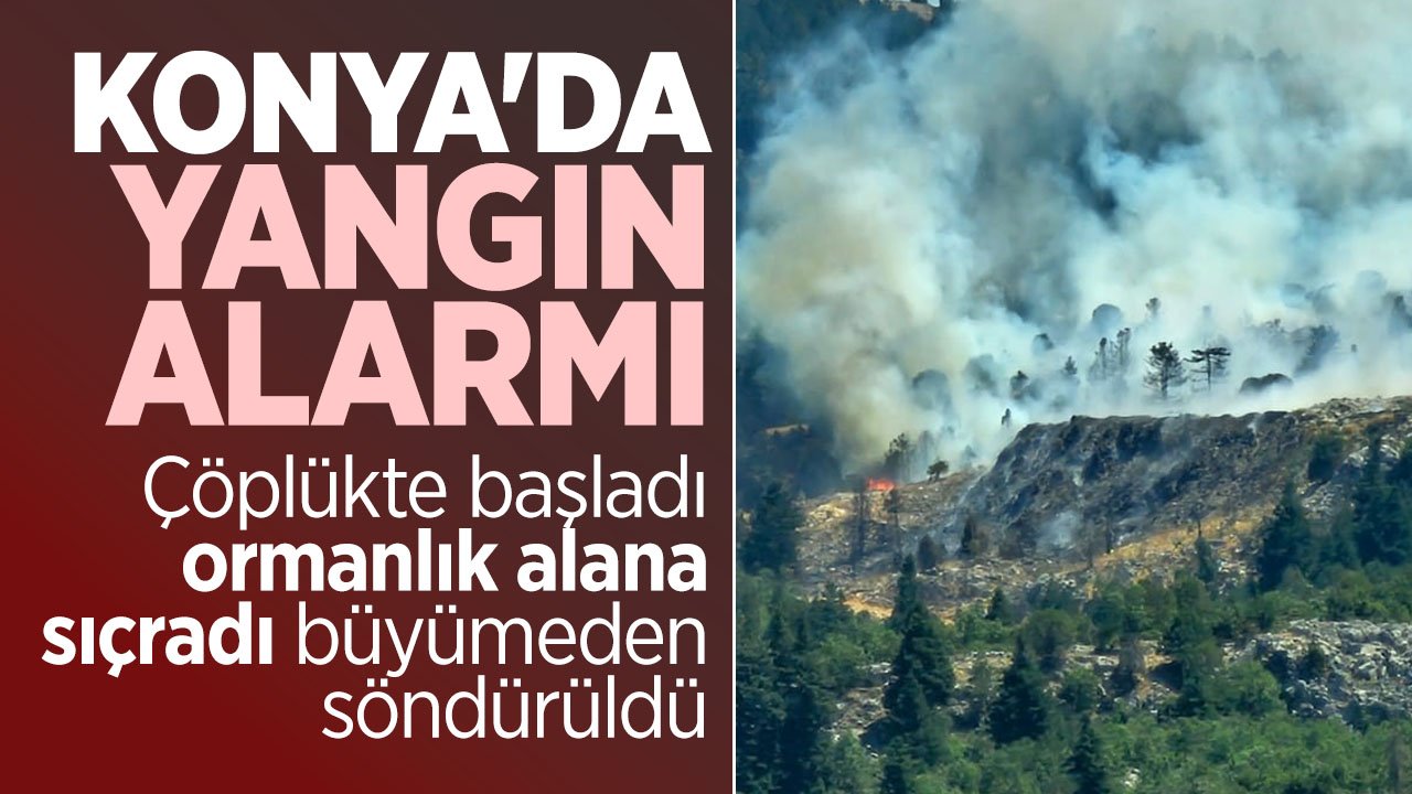 Beyşehir'de çöplük alanda başlayan yangın ormana sıçradı