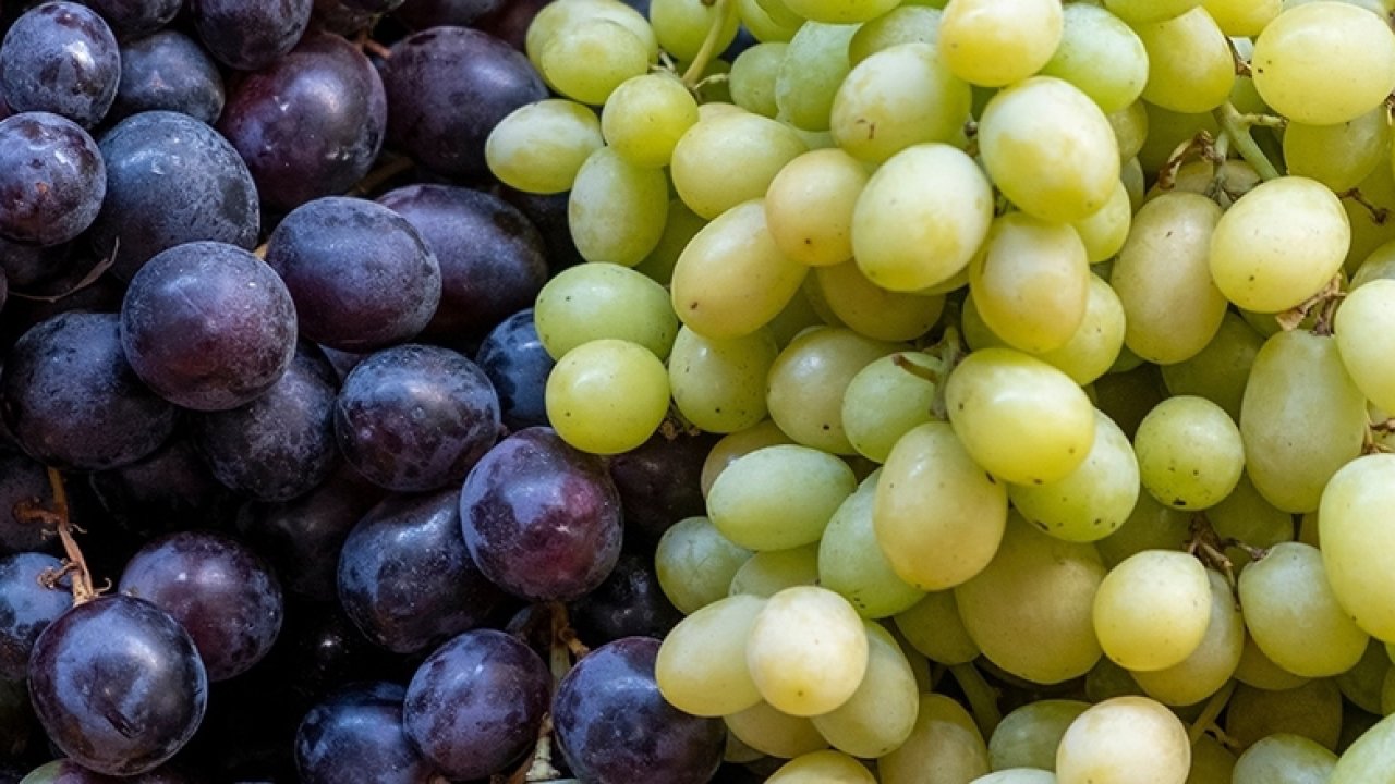Gizli gücün meyvesi: Üzümün beyinden kalbe uzanan şifa haritası