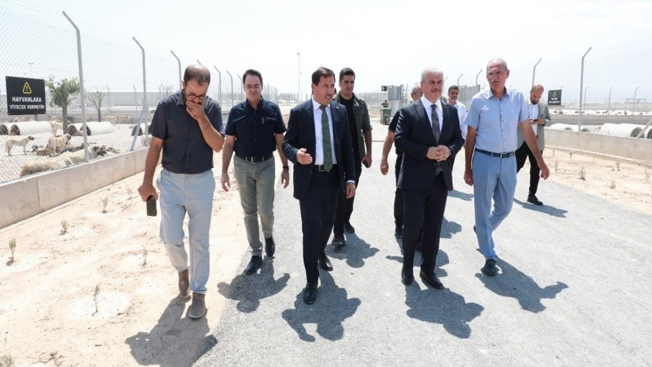 Karatay'dan örnek tesis. Karatay Hayvan Bakımevi ve Doğal Yaşam Alanını incelediler