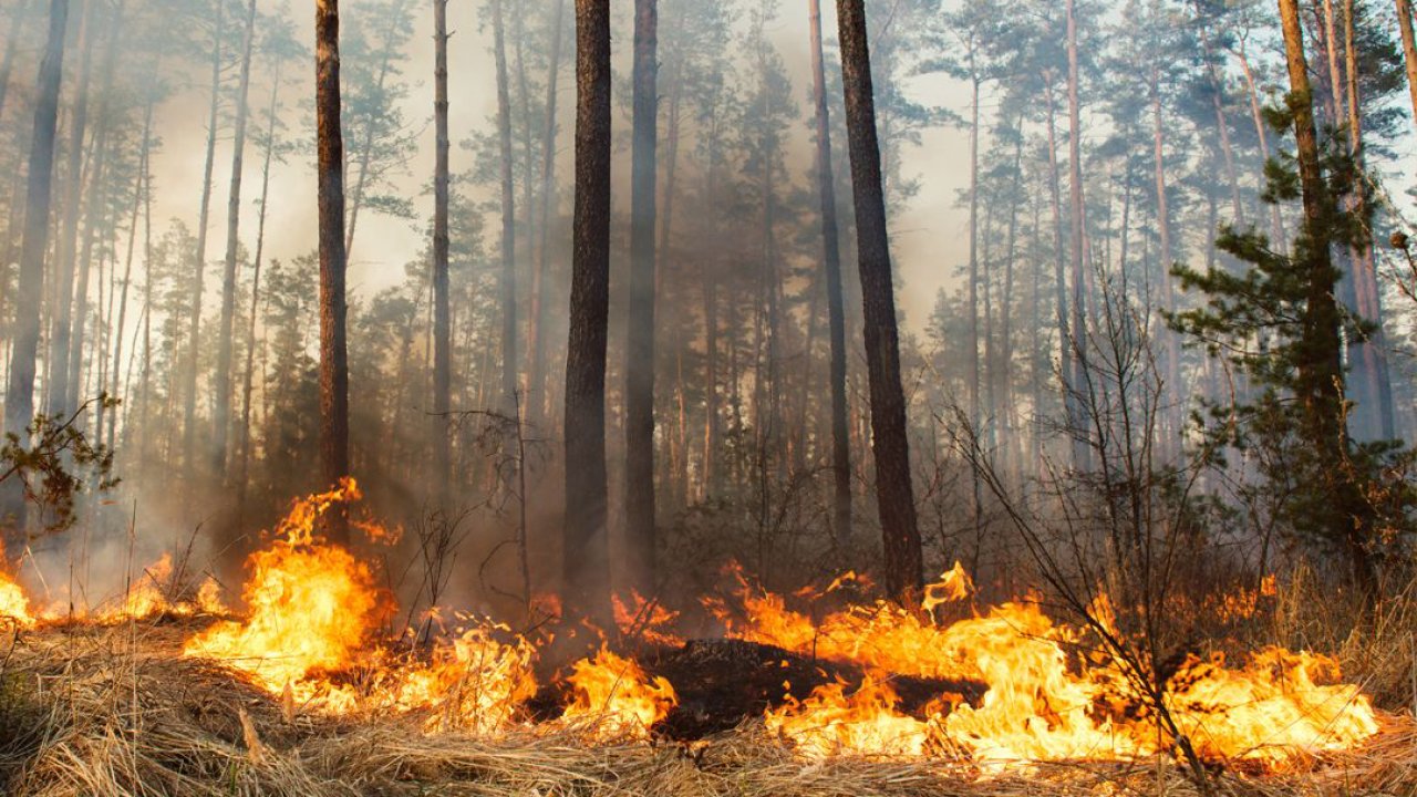 Konya'da yangın uyarısı: Cam şişe ve ateşle oynama!