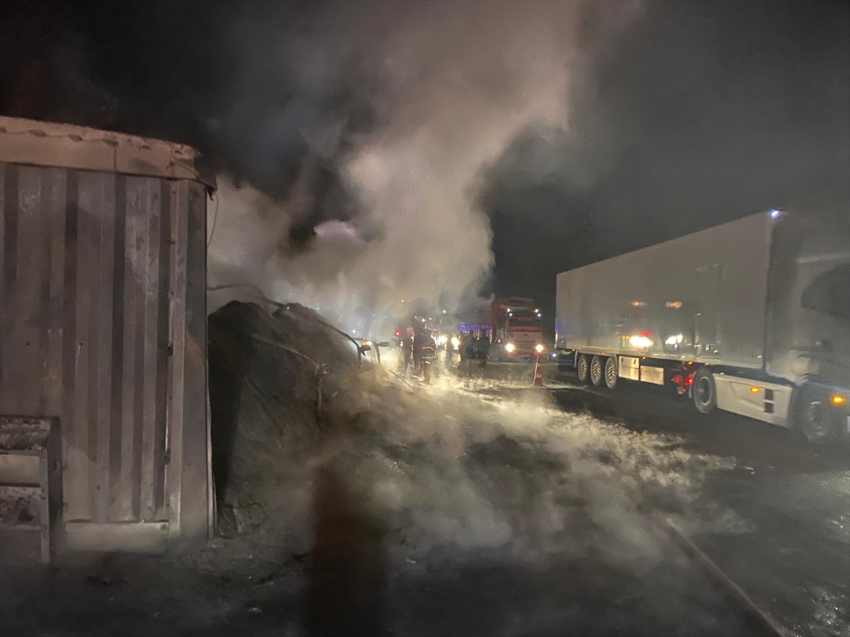 Adana'da Otoyolda Alev Alan Tırda Başlayan Yangın Ormanlık Alana Sıçradı