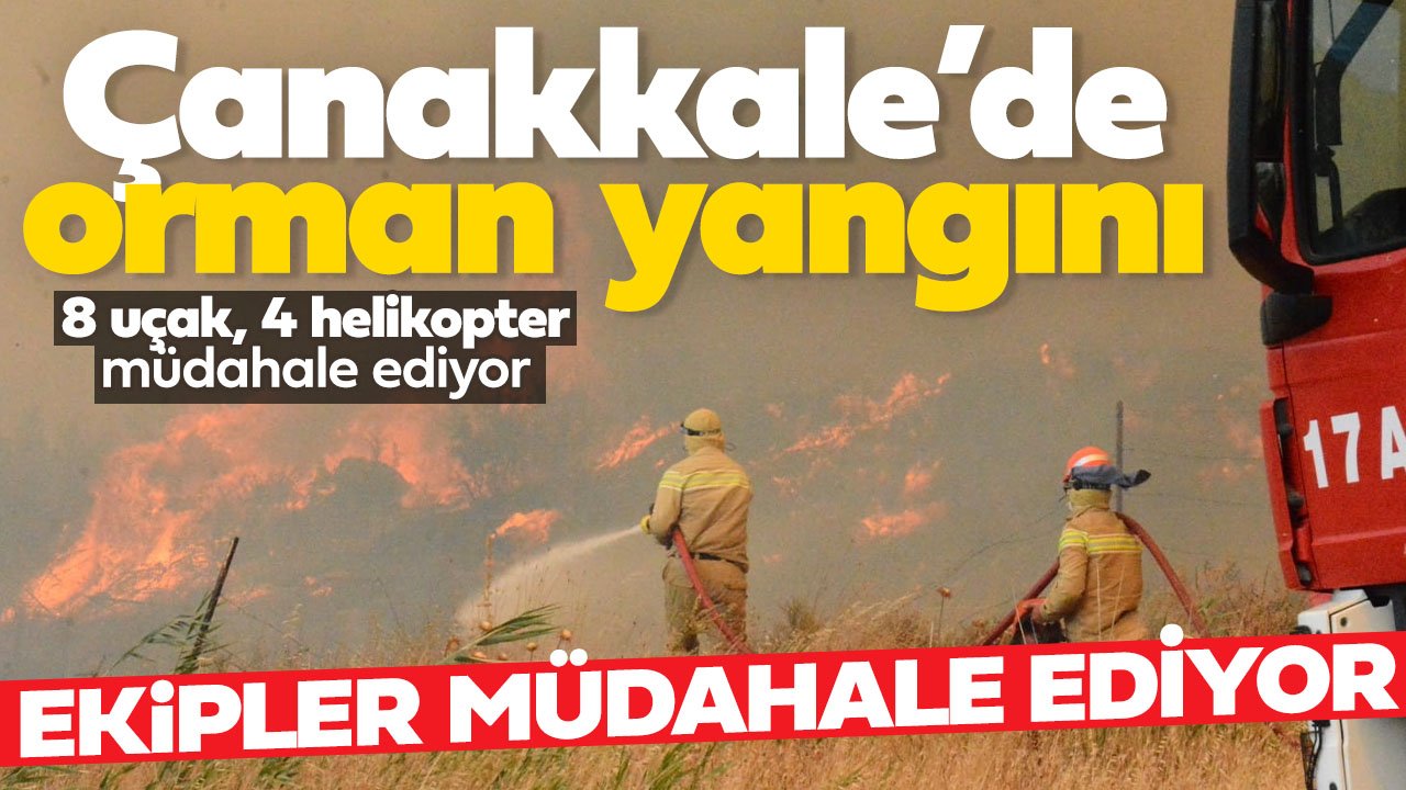 Çanakkale'de orman yangını!  8 uçak, 4 helikopterle müdahale sürüyor