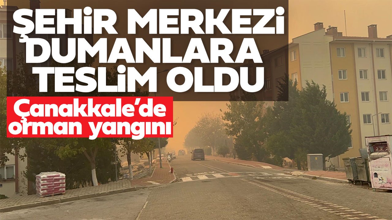 Çanakkale'de orman yangını! Şehir merkezi dumanlara teslim oldu
