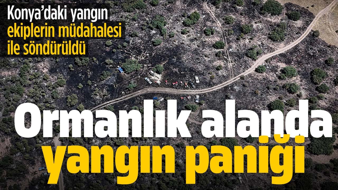 Konya’da ormanlık alanda yangın!