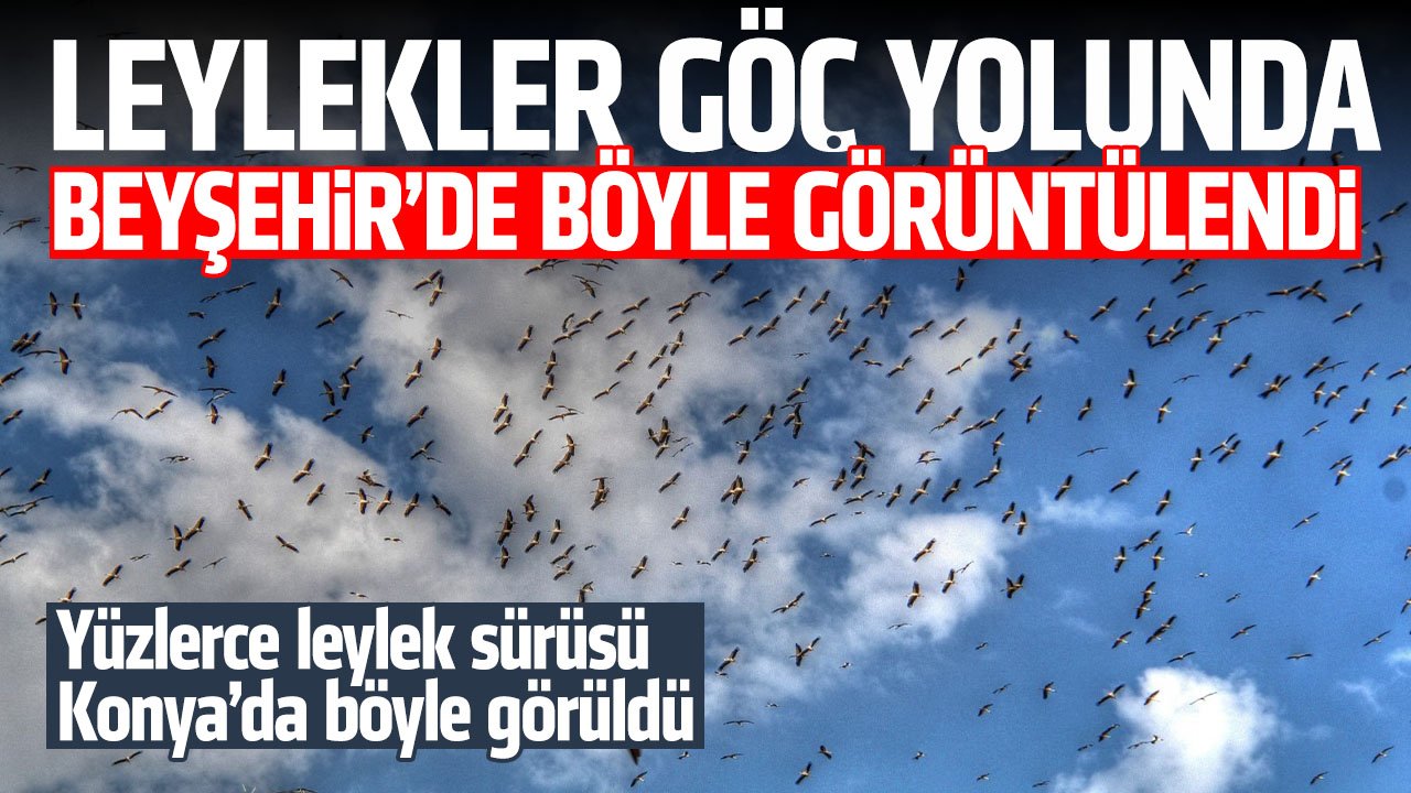 Binlerce leylek göç ediyor! Leylekler Beyşehir'de böyle görüntülendi