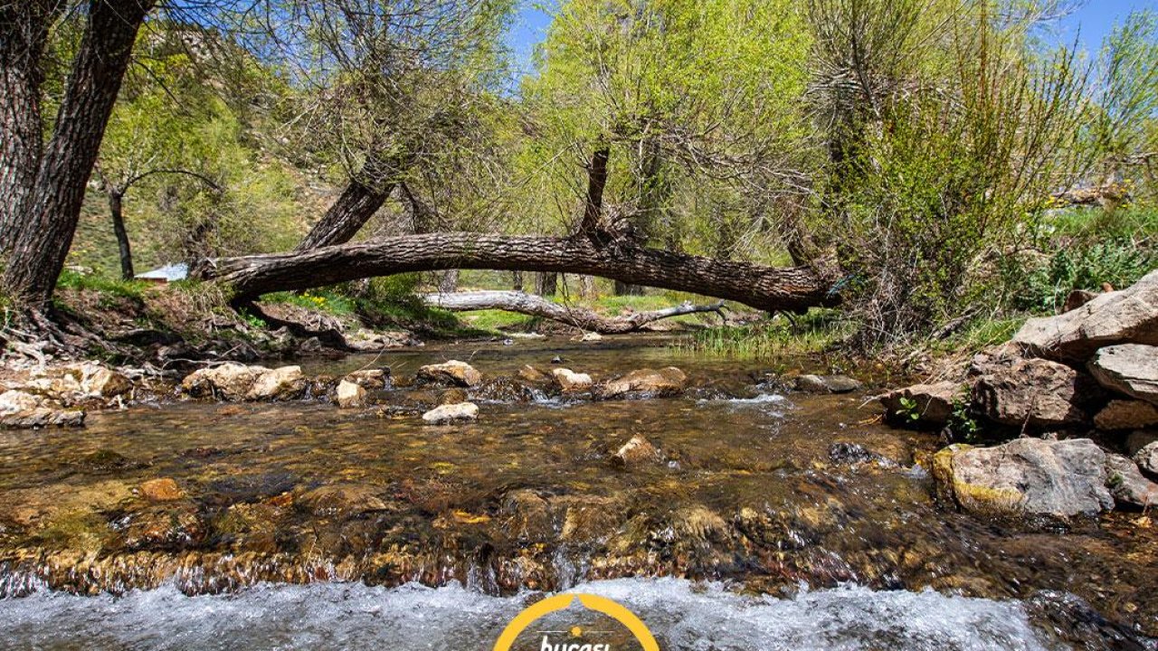 Bozkır’ın doğal cenneti: Tufanderesi Yaylası’nda serin ve huzurlu bir kaçamak!