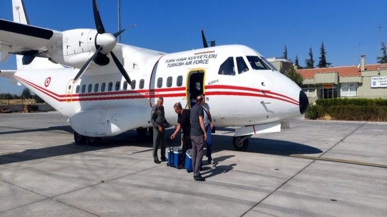 Organ nakli bekleyen hastaya Hava Kuvvetlerine ait ambulansla karaciğer grefti ulaştırıldı!