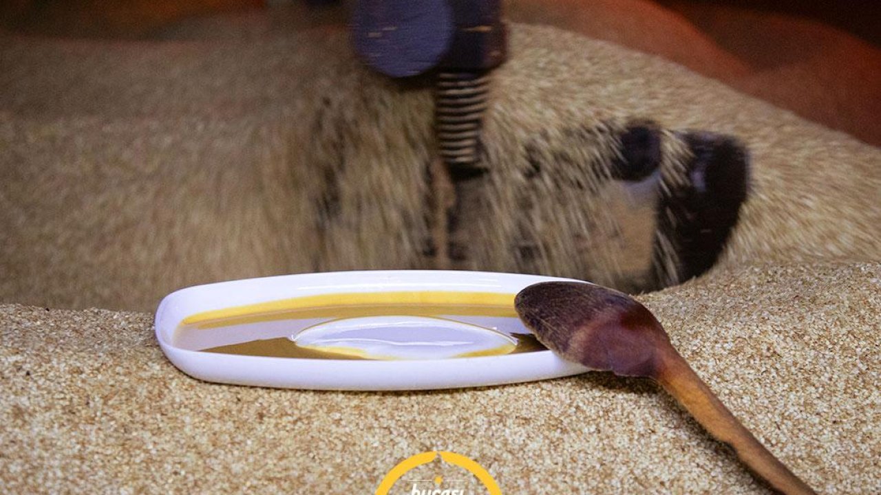 Bozkır Tahini: Konya’nın Altın Lezzeti ve Tahinli Yöresel Tarifler