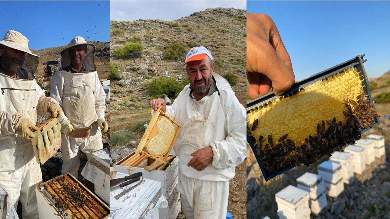 Konya'nın bu ilçesinde bal hasadı tamamlandı!