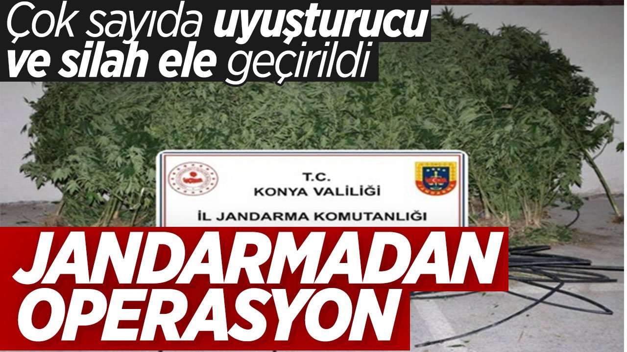 Konya'da jandarmadan operasyon: Çok sayıda uyuşturucu ve silah ele geçirildi