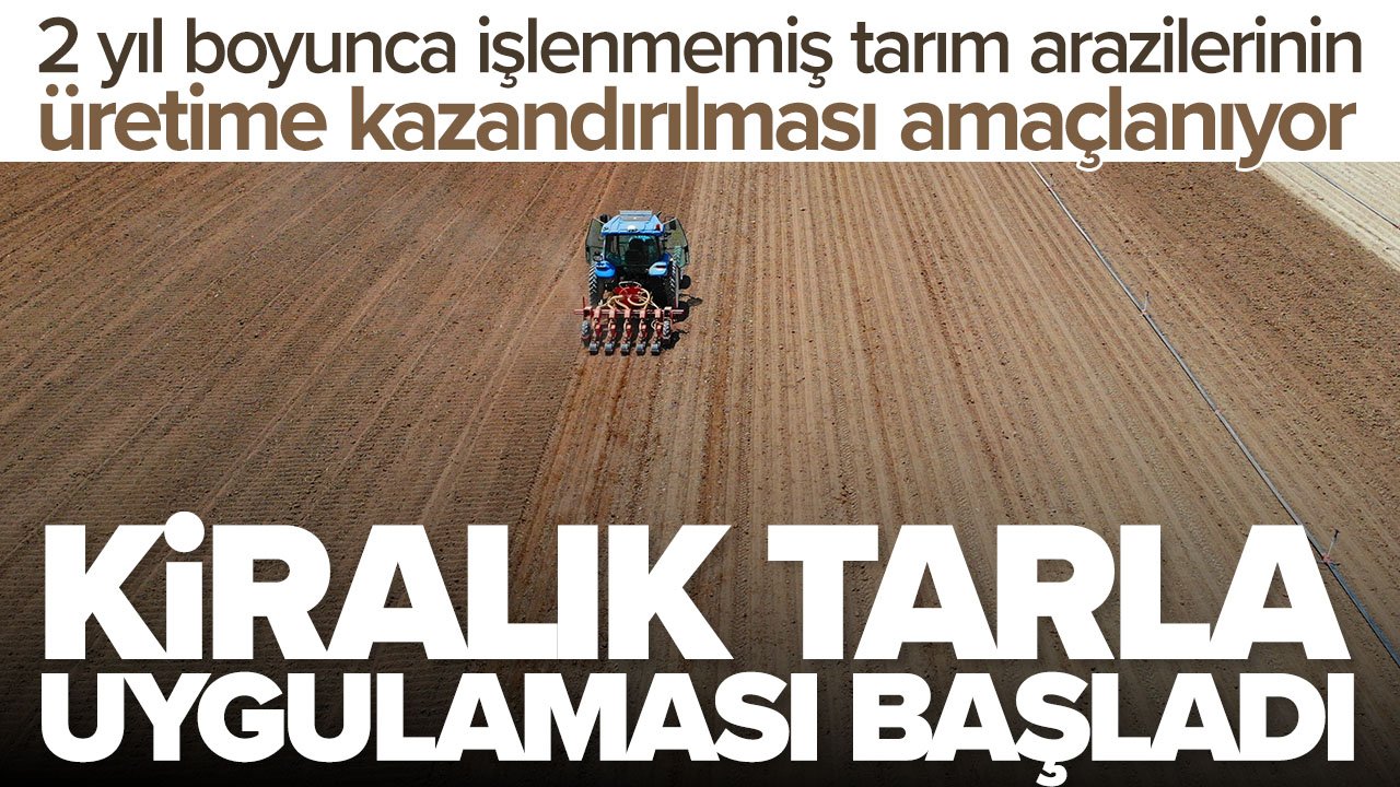 Kiralık tarla dönemi başladı: Uzmanlardan tavsiyeler