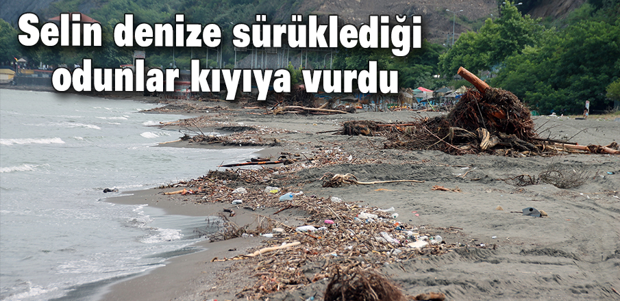 Selin denize sürüklediği odunlar kıyıya vurdu