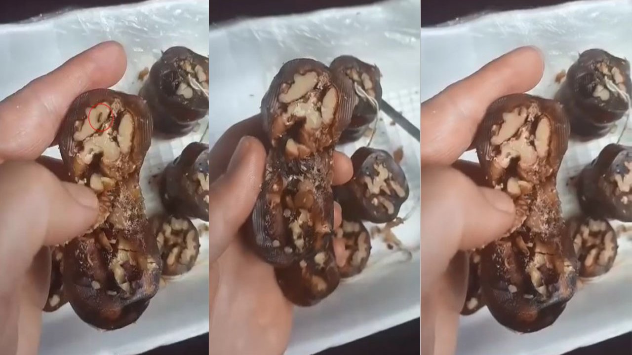 Cevizli sucuktan böcek çıktı!