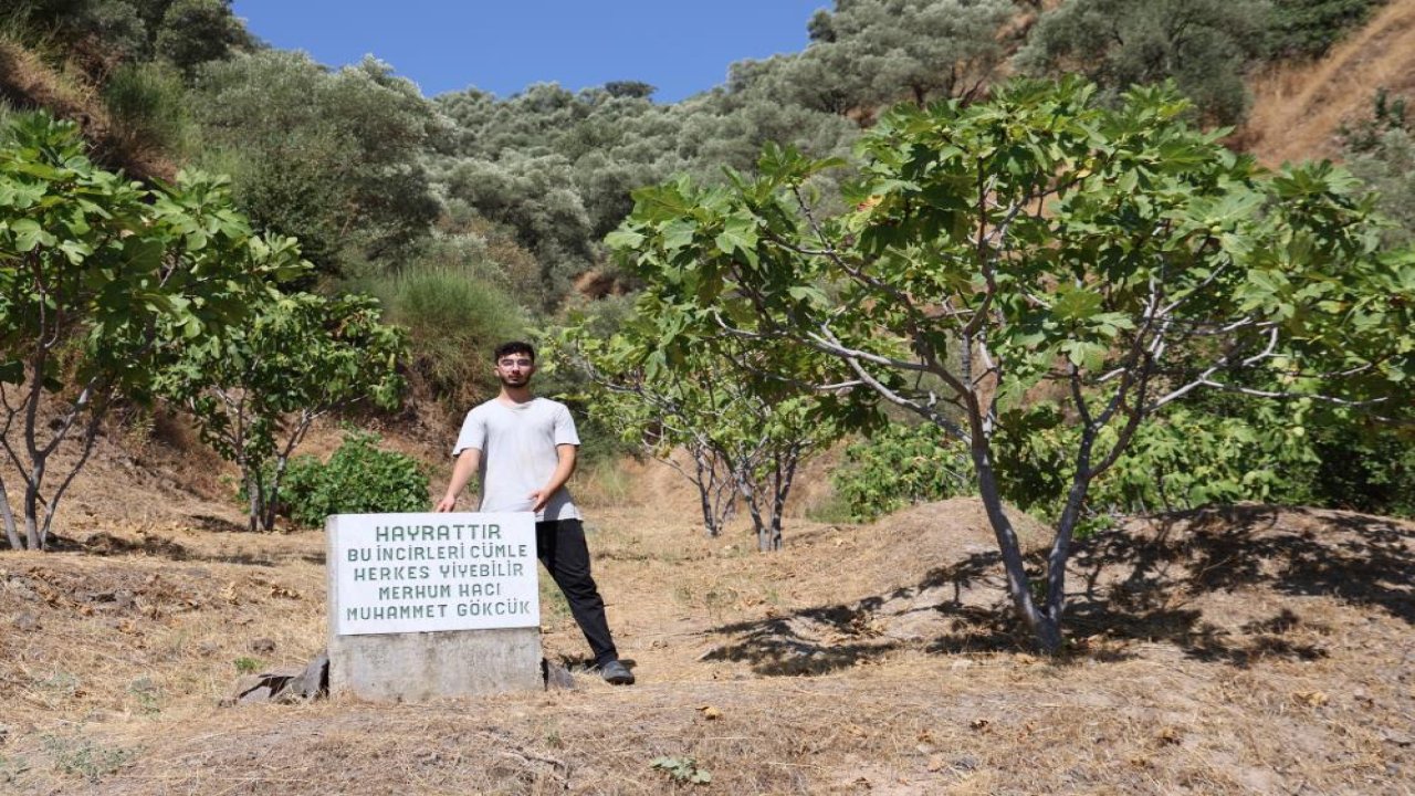 Mezar taşı değil, sofraya davet: Herkes yesin uyarısı