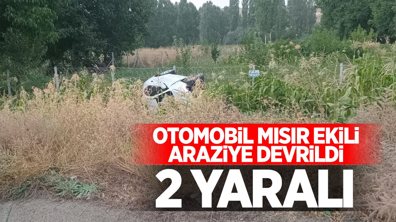 Konya'da otomobil mısır ekili alana devrildi: 2 kişi yaralandı