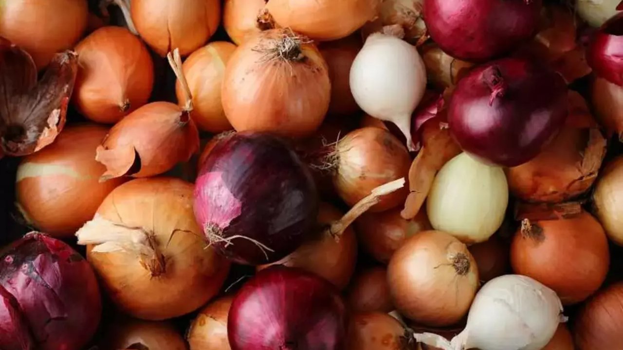 Soğan çeşitlerinin sağlık üzerindeki farklı etkileri