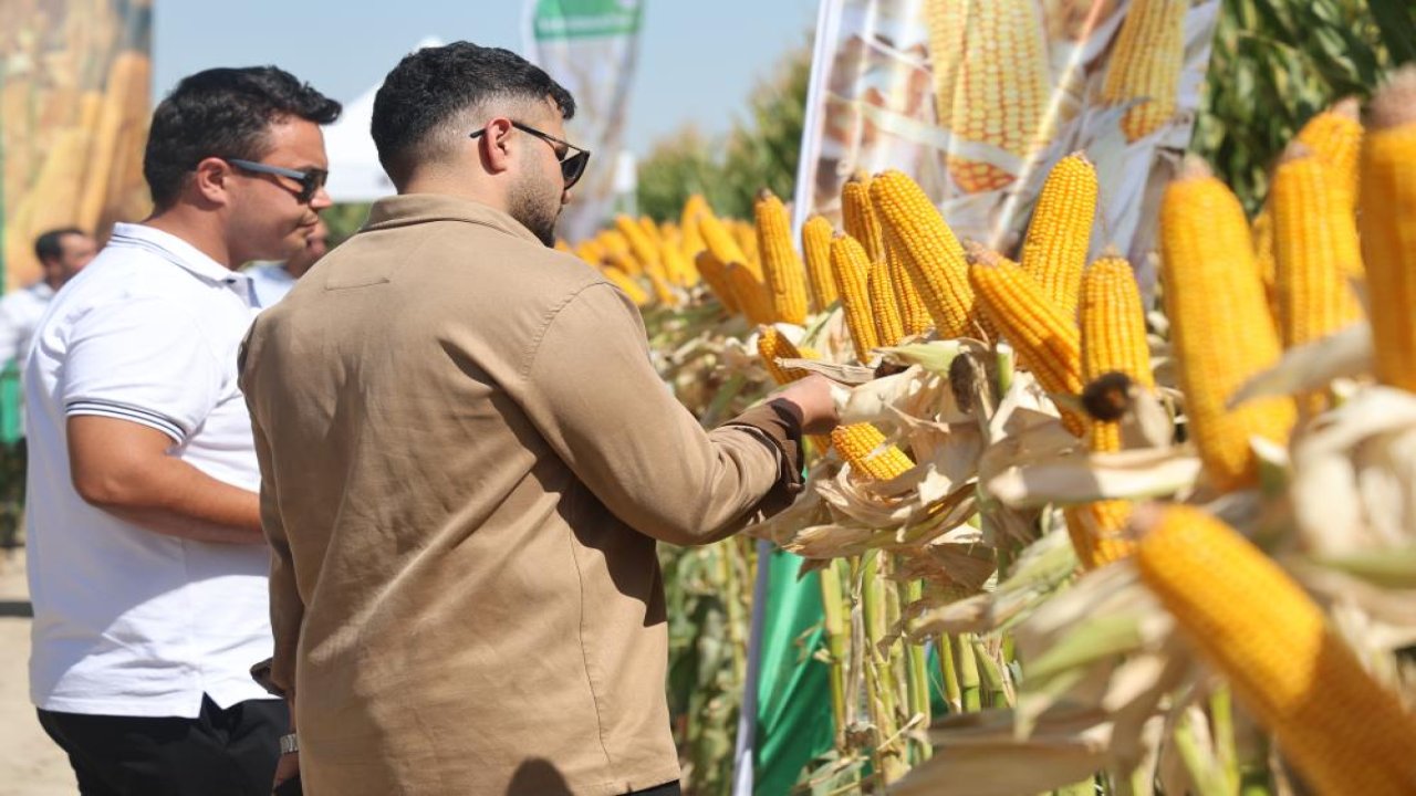 Konyalı çiftçilere yeni hibrit mısır çeşitleri tanıtıldı