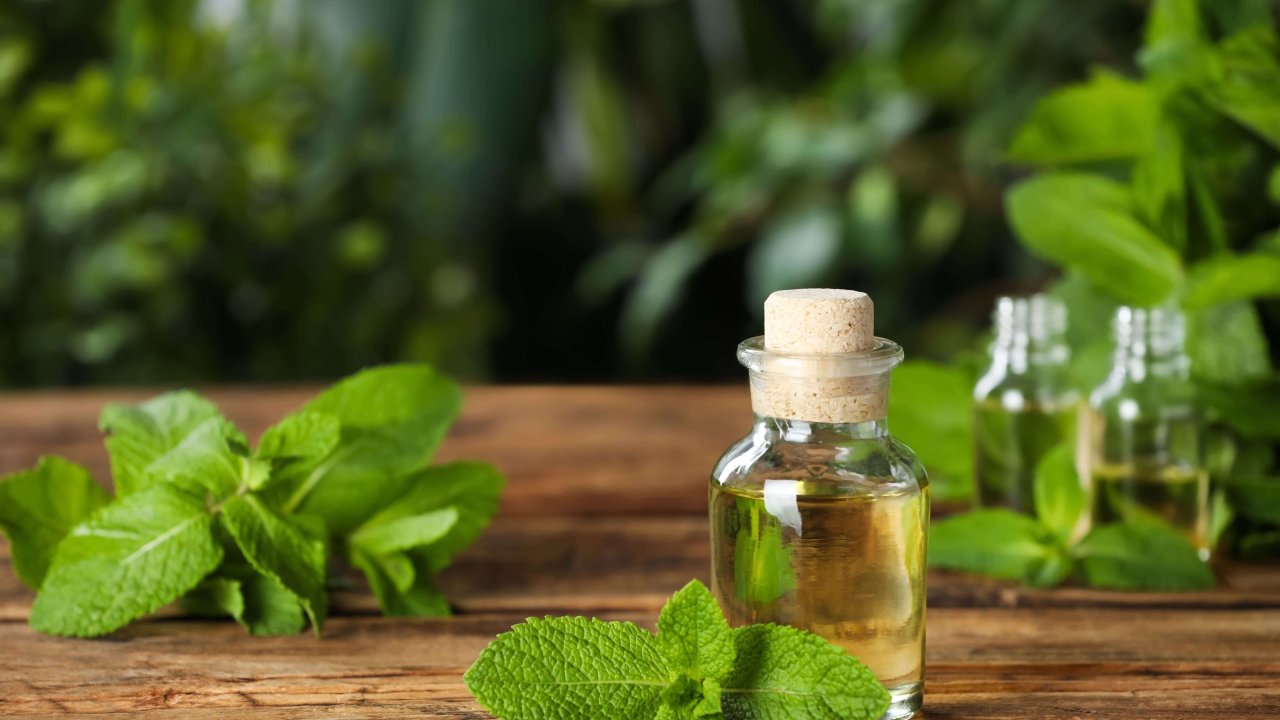 Nane mucizesi: Hem şifa hem ferahlık sunuyor!