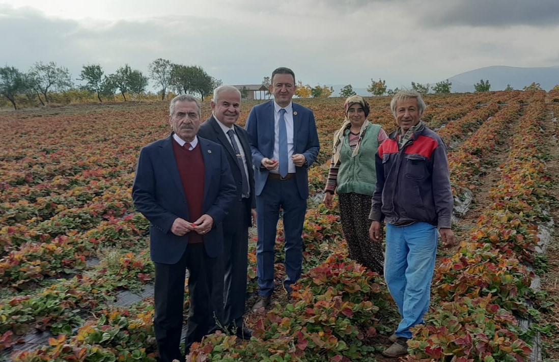 Bektaş: “Çiftçilerimizin Girdi Maliyetleri Düşürülmelidir”