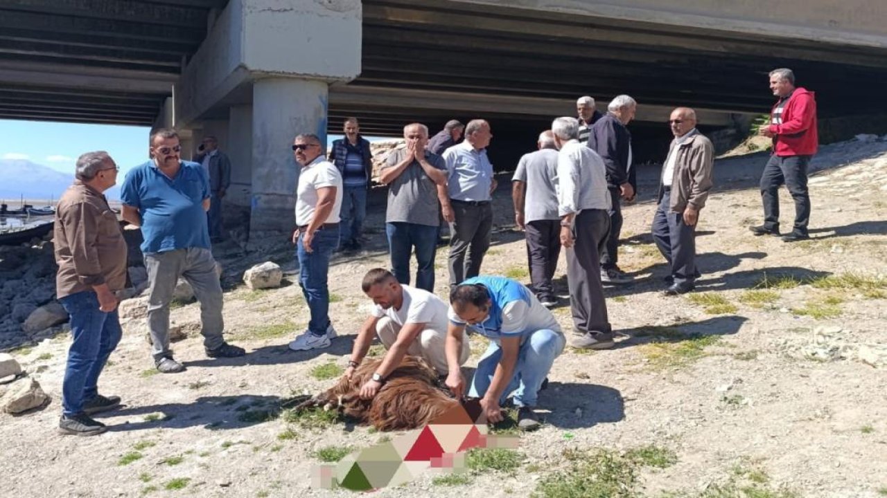 Beyşehirli balıkçılar göl İçin dua etti: Kurban keserek çare aradılar!
