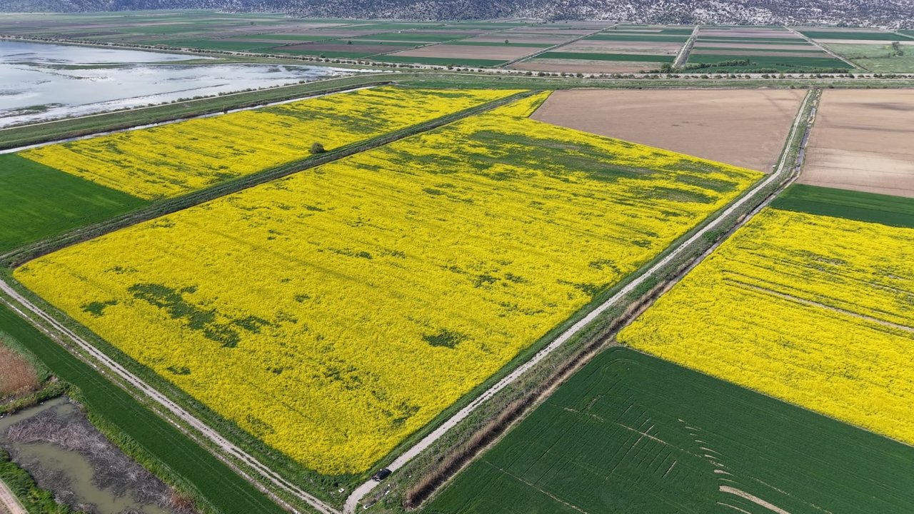 Konya'nın bu belediyesinden çiftçilere destek!
