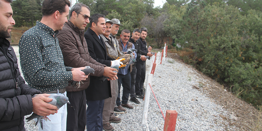 Konya'da 12 kaya güvercini ve şahin doğaya bırakıldı