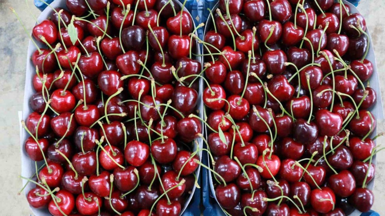 Kirazın ve Üzümün Başkenti: Hadim’in Gizli Cenneti