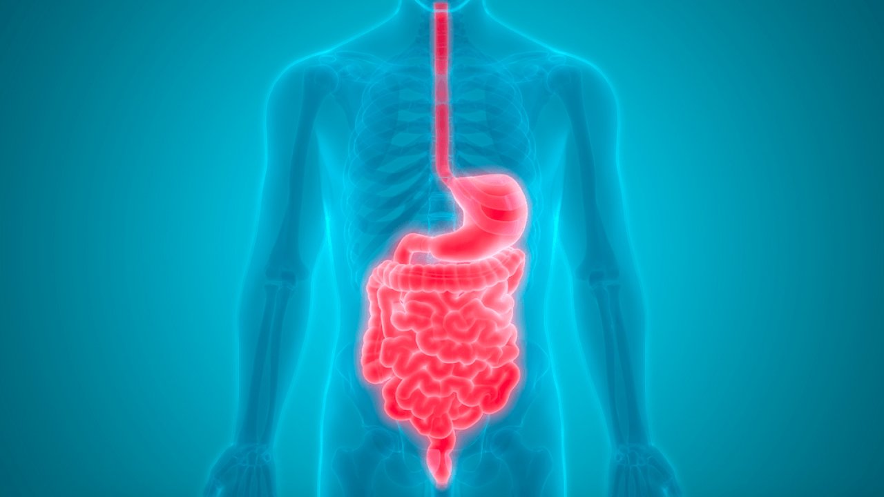 Yediklerimiz midemizde ne kadar kalıyor? İşte şaşırtıcı sindirim süreleri!