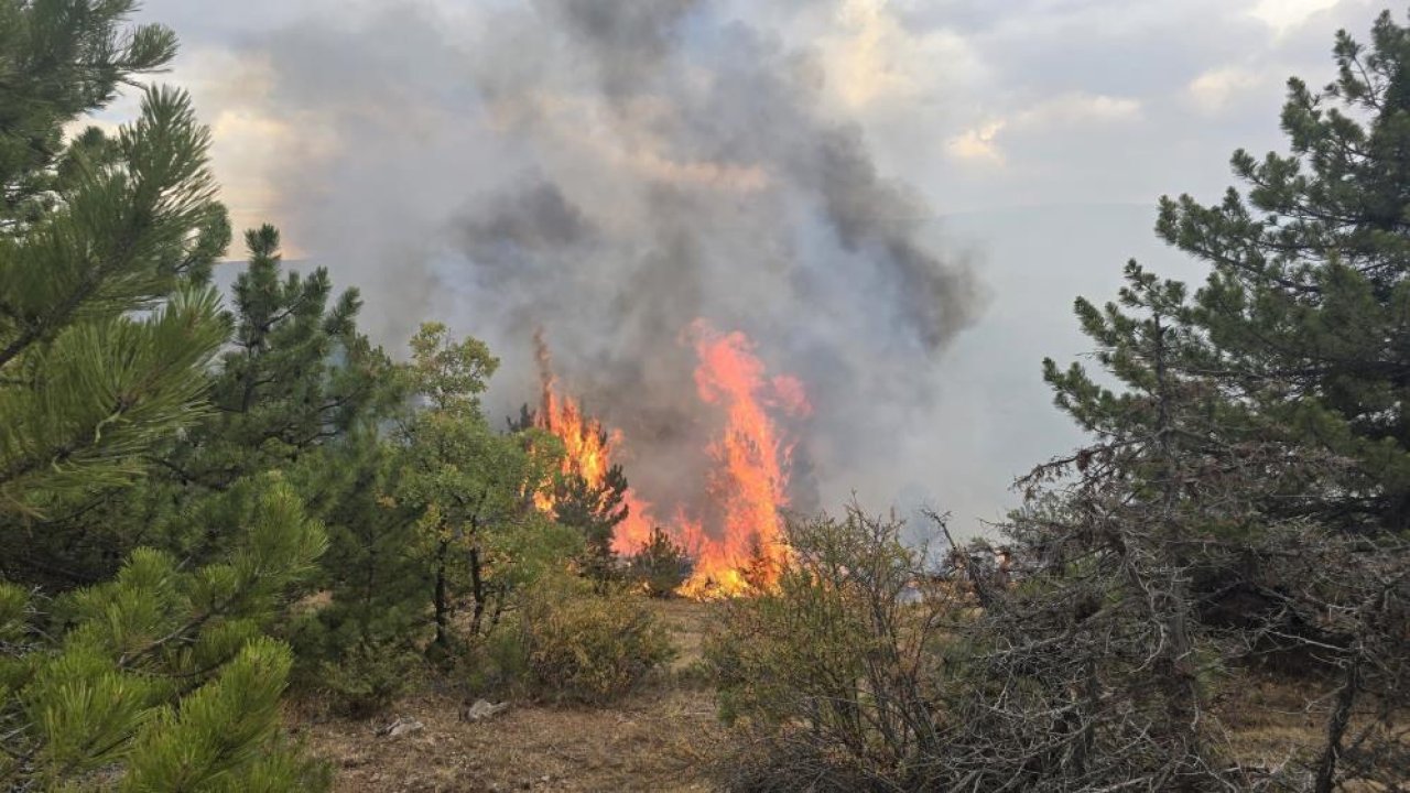 Derbent'te orman yangını korkuttu! Güçlükle söndürüldü