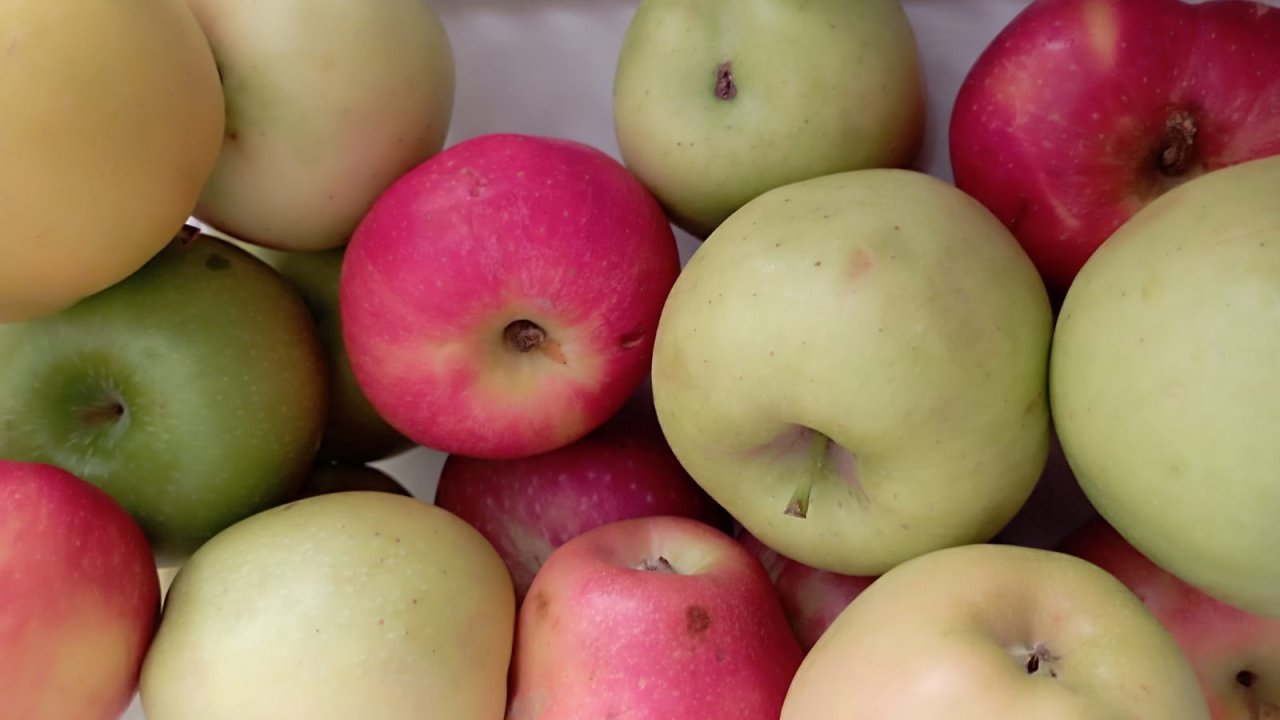 Elmanın mucizevi faydaları: Sağlığınız için her gün bir elma yiyin!