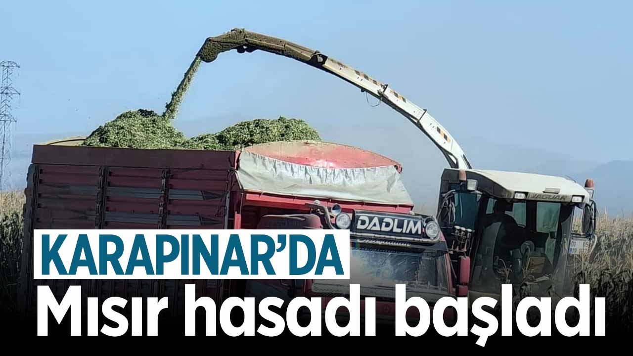 Konya Karapınar’da mısır hasadı başladı