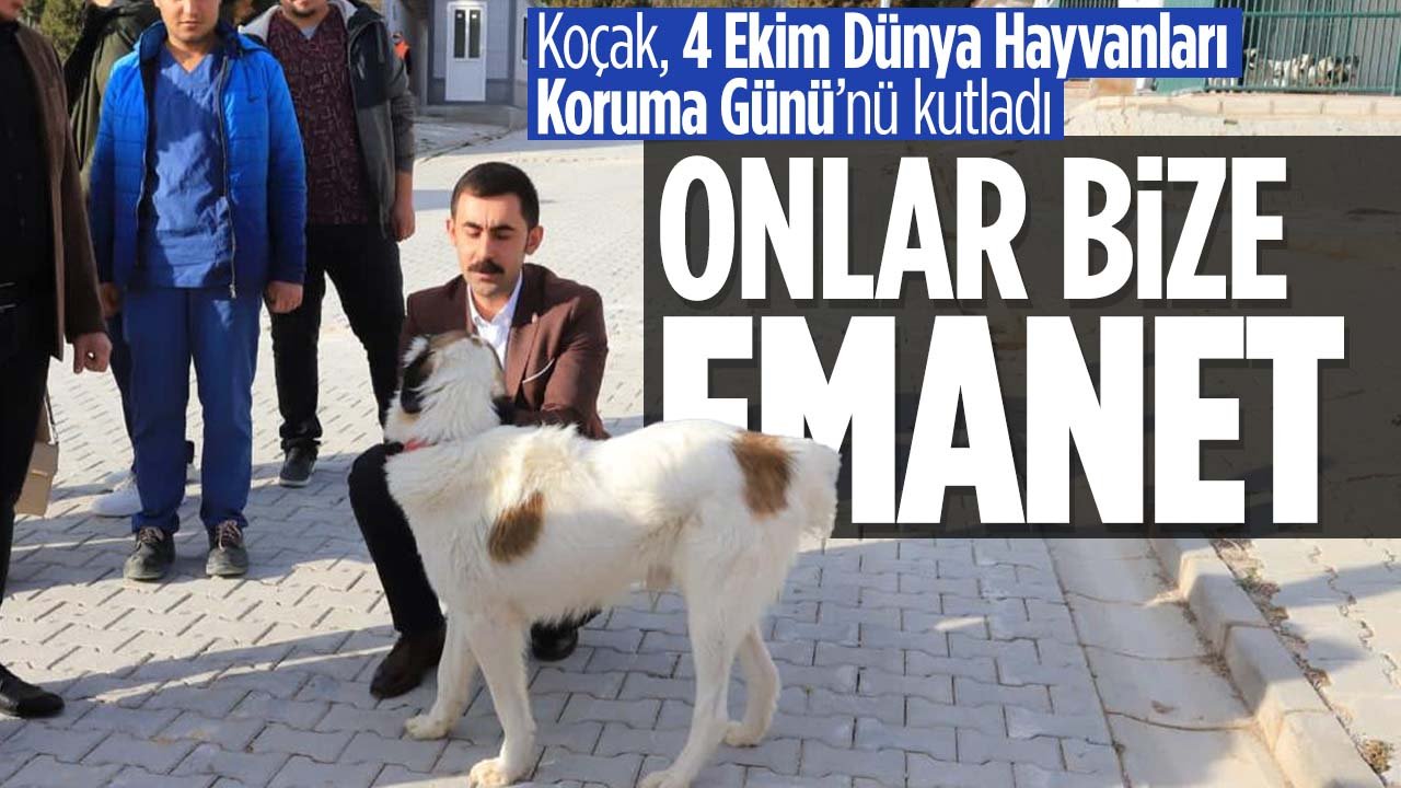 Mesut Koçak, Dünya Hayvanları Koruma Günü'nü kutladı: "Onlar bize emanet"