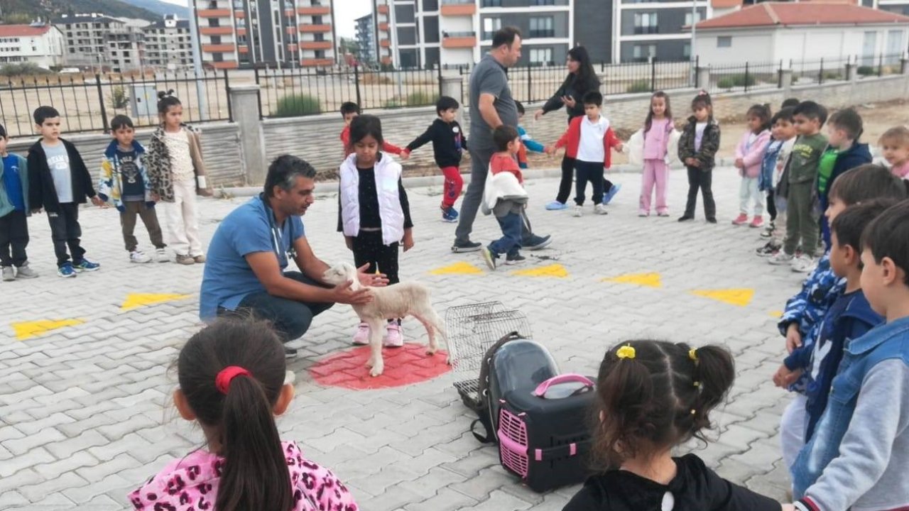Akşehir'de çocuklara hayvan sevgisi aşılandı