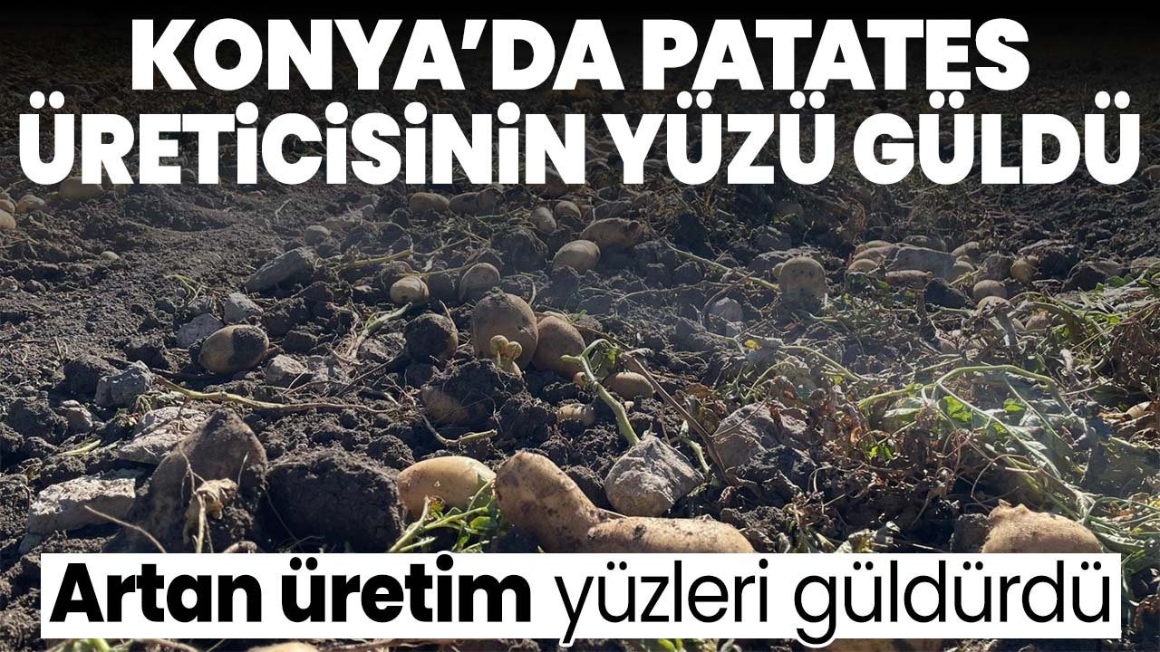 Beyşehir’de patates üreticisinin artan üretimle yüzü güldü
