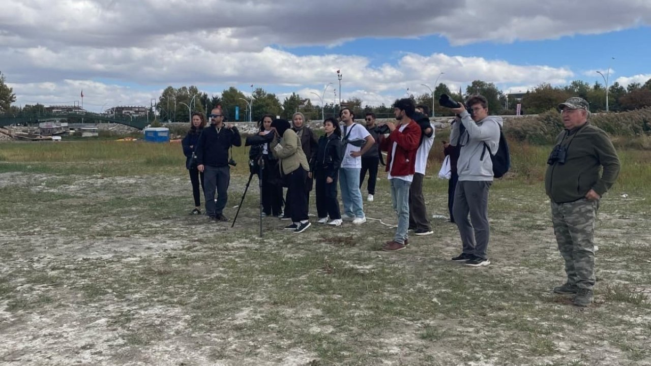 Konya'da Beyşehir Gölü kıyılarında kuş gözlemi yaptılar