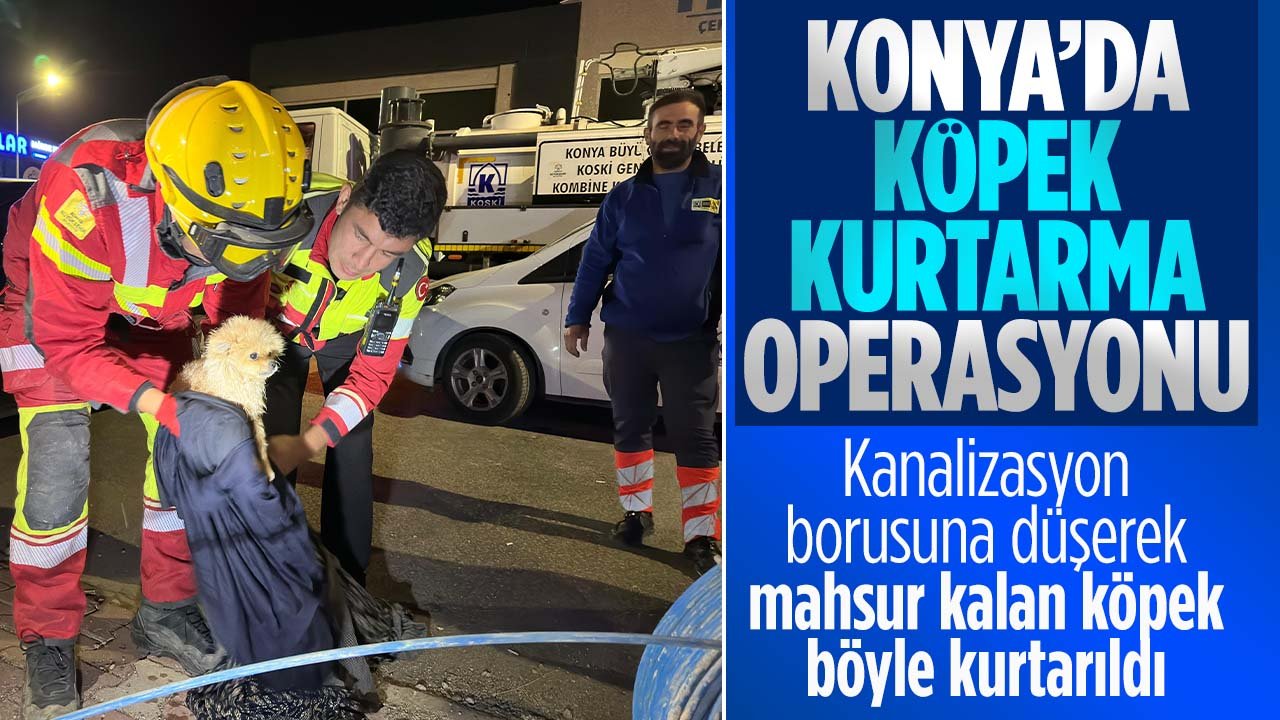 Konya'da kanalizasyon borusuna düşerek mahsur kalan köpek böyle kurtarıldı