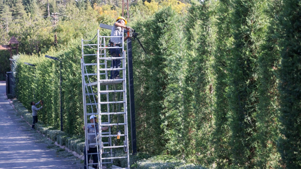 Konya'nın Meram'ı kışa hazırlanıyor! Park ve bahçelerde bakım başladı