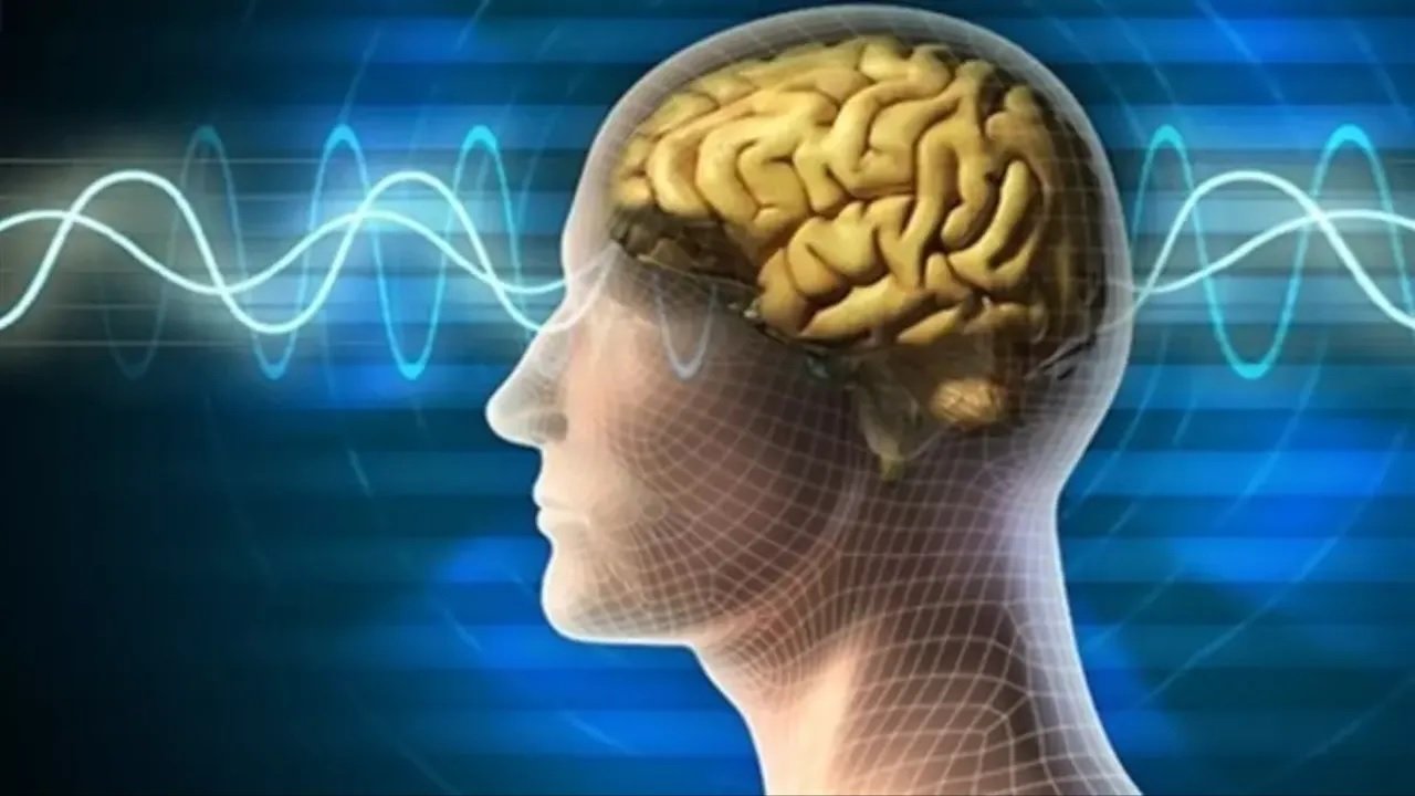 İnsan hafızasının gizemi: Beynimiz neleri, nasıl hatırlıyor?