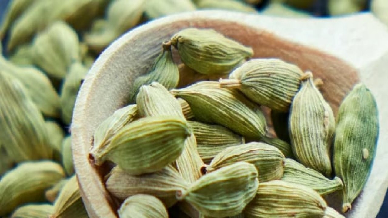 Kaküle: Küçük tanelerde büyük şifa! Uzmanlar faydalarına dikkat çekiyor