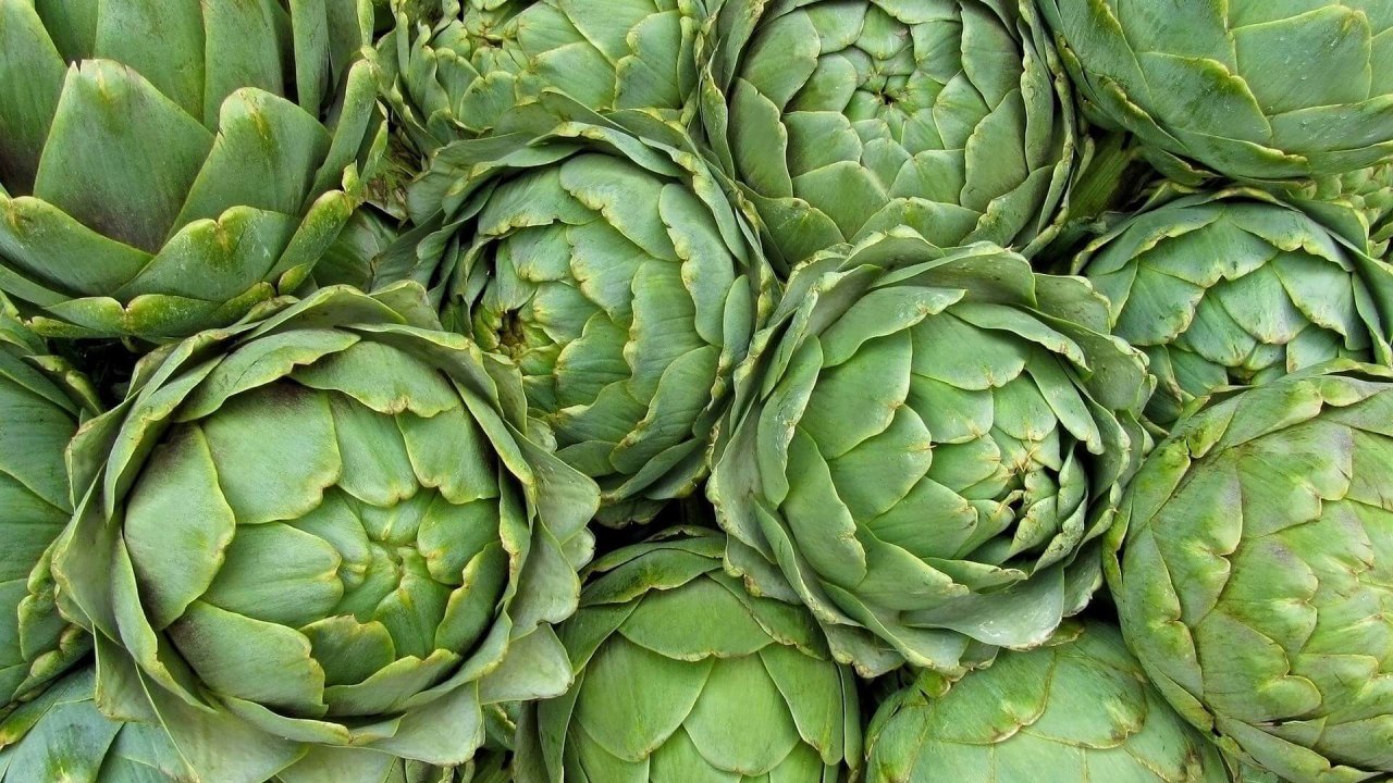 Karaciğerinizi koruyun: Enginar ve pancar mucizesiyle vücudunuzu arındırın!