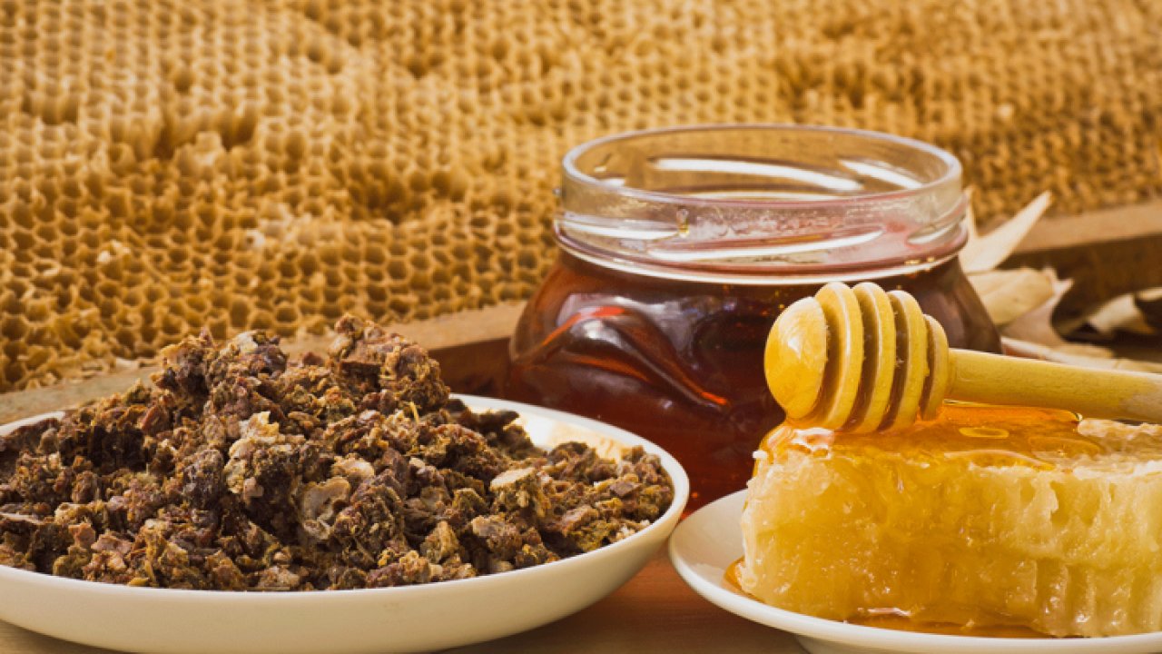 Doğanın mucizesi Propolis: Bağışıklığı güçlendiriyor, hastalıklara kalkan oluyor!