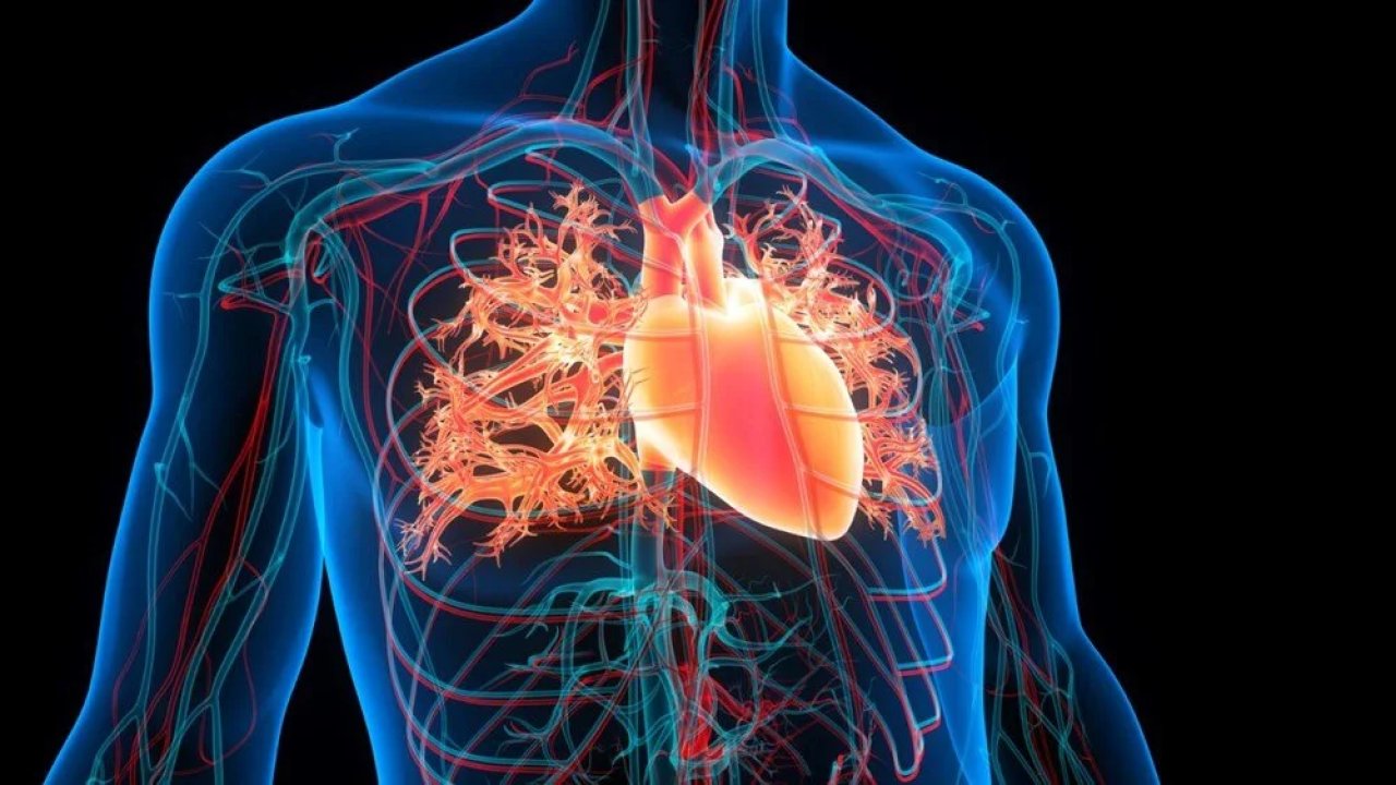 Kemik ve kalp sağlığınız için harika üçlü: D vitamini, magnezyum ve K2!